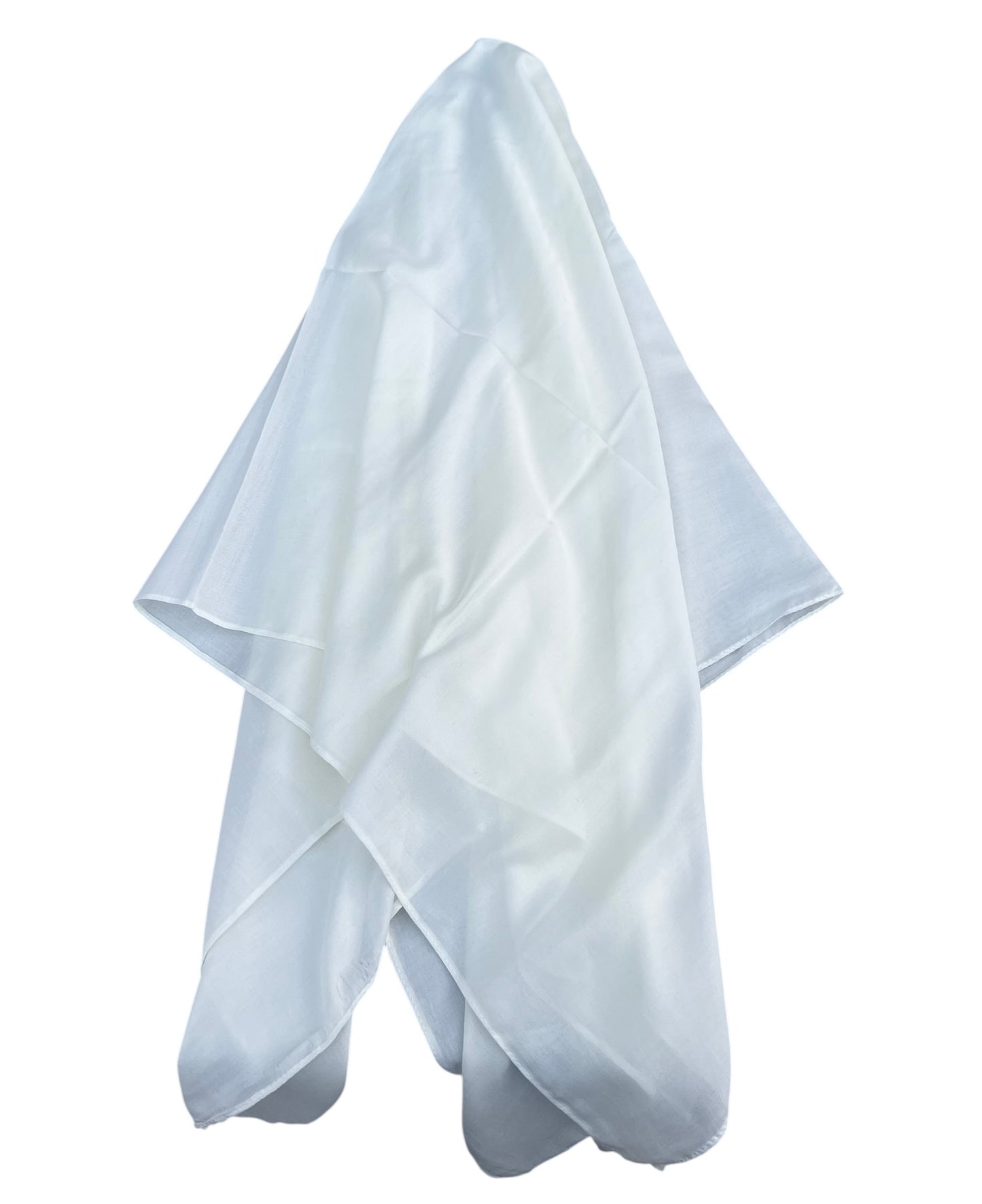 Ultra Lightweight Solids